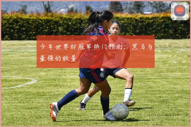 今年世界杯冠军热门预测:黑马与豪强的较量