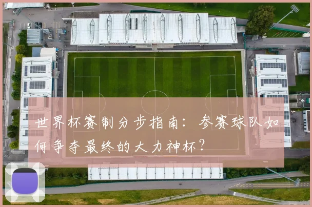 世界杯赛制分步指南:参赛球队如何争夺最终的大力神杯?