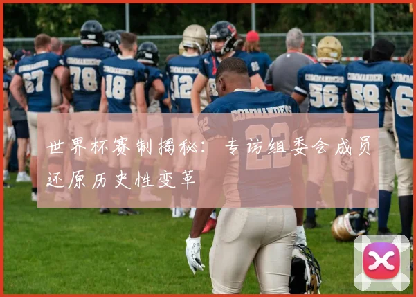 世界杯赛制揭秘:专访组委会成员还原历史性变革