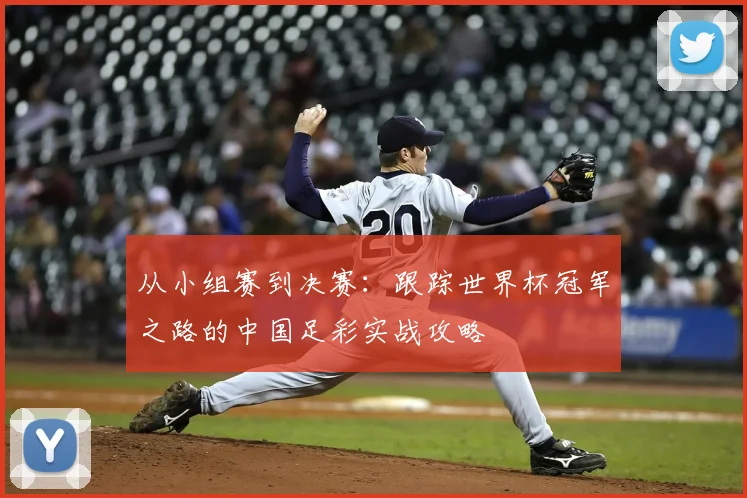 从小组赛到决赛：跟踪世界杯冠军之路的中国足彩实战攻略
