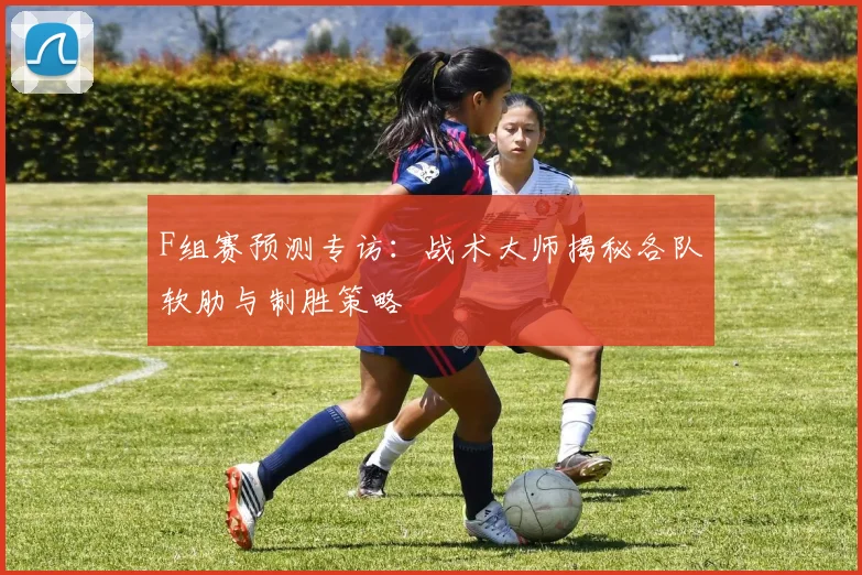 F组赛预测专访:战术大师揭秘各队软肋与制胜策略