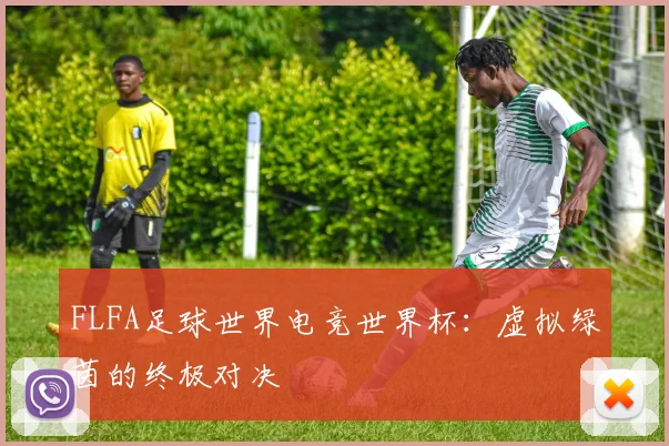 FLFA足球世界电竞世界杯:虚拟绿茵的终极对决