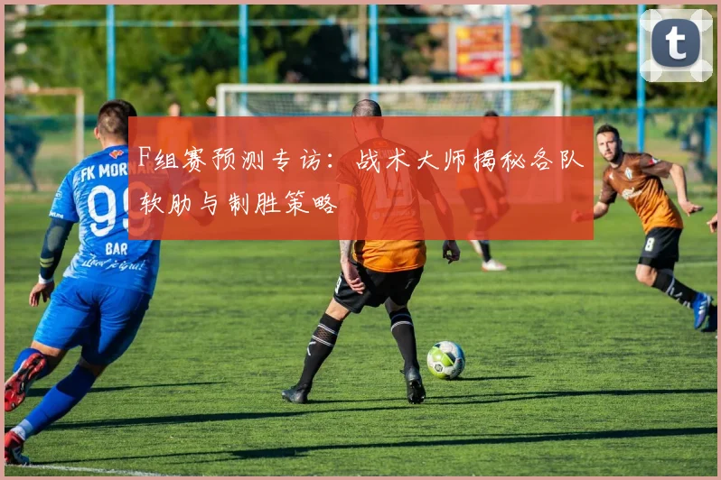 F组赛预测专访:战术大师揭秘各队软肋与制胜策略