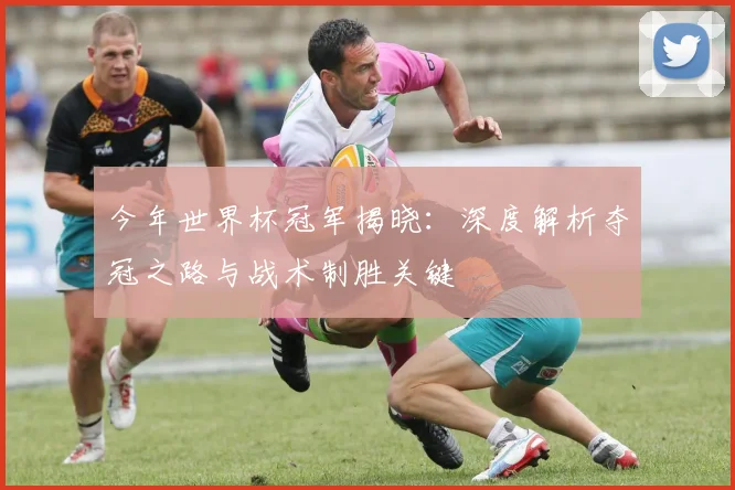 今年世界杯冠军揭晓:深度解析夺冠之路与战术制胜关键