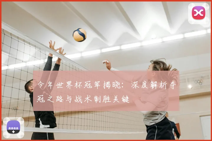今年世界杯冠军揭晓:深度解析夺冠之路与战术制胜关键